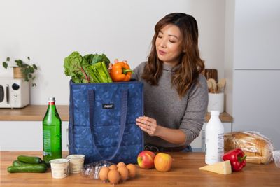 Packit Freezable Grocery Tote Bag